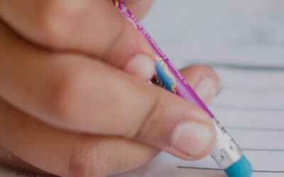 Biaya Jasa STP Keagenan Murah