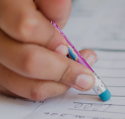 Biaya Jasa STP Keagenan Murah